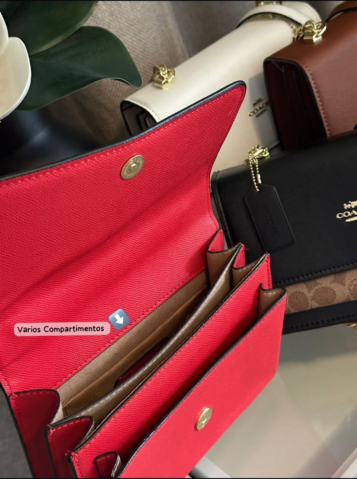 Bolsa Coach Klare Blanca 🤍